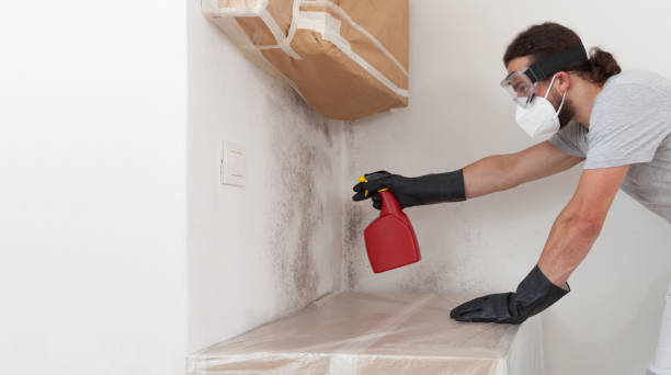 Professional Mold Cleanup technician working in Micro, NC