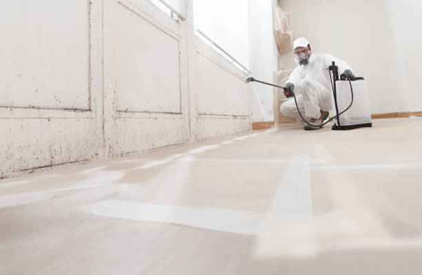 24/7 Emergency Mold Cleanup experts in Micro, NC