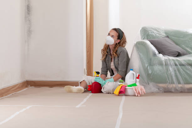 Reliable Mold Cleanup contractor in Micro, NC by WQB Mold Removal